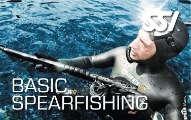 SPEARGUNS  Windang Dive and Spearfishing